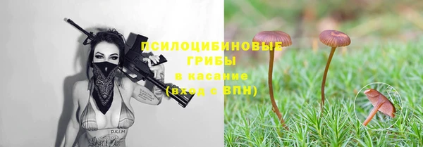 а пвп мука Карталы