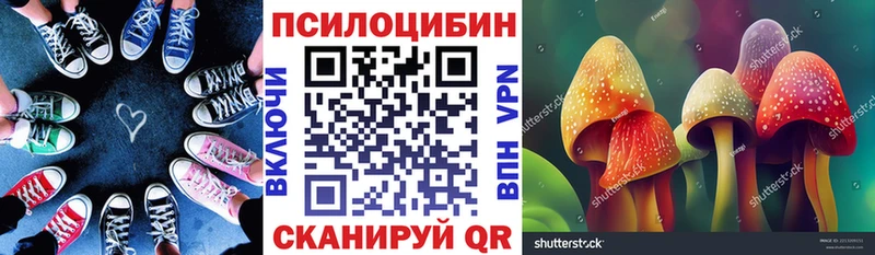 Купить где Себеж Псилоцибиновые грибы Cubensis